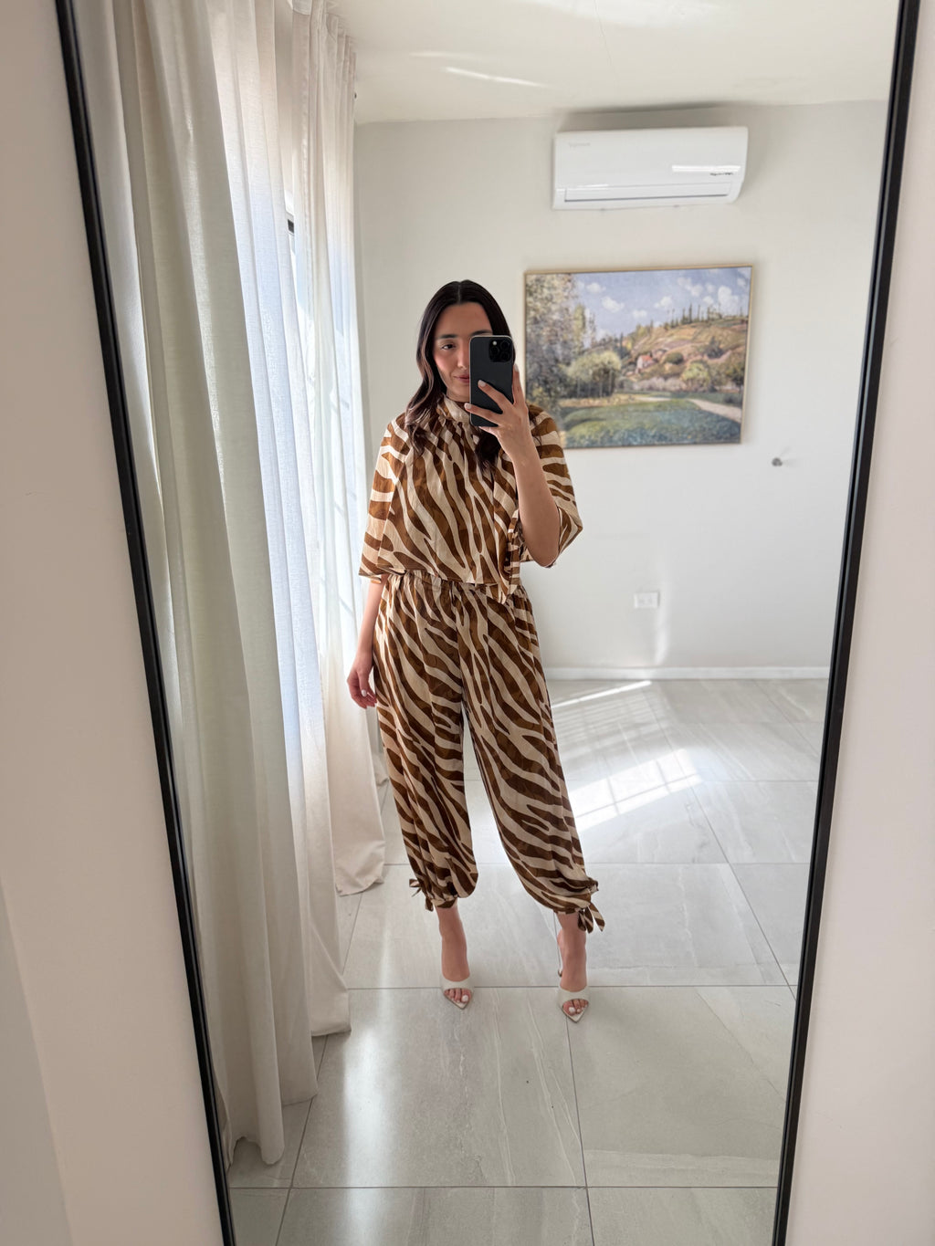 Brown Zebra Set