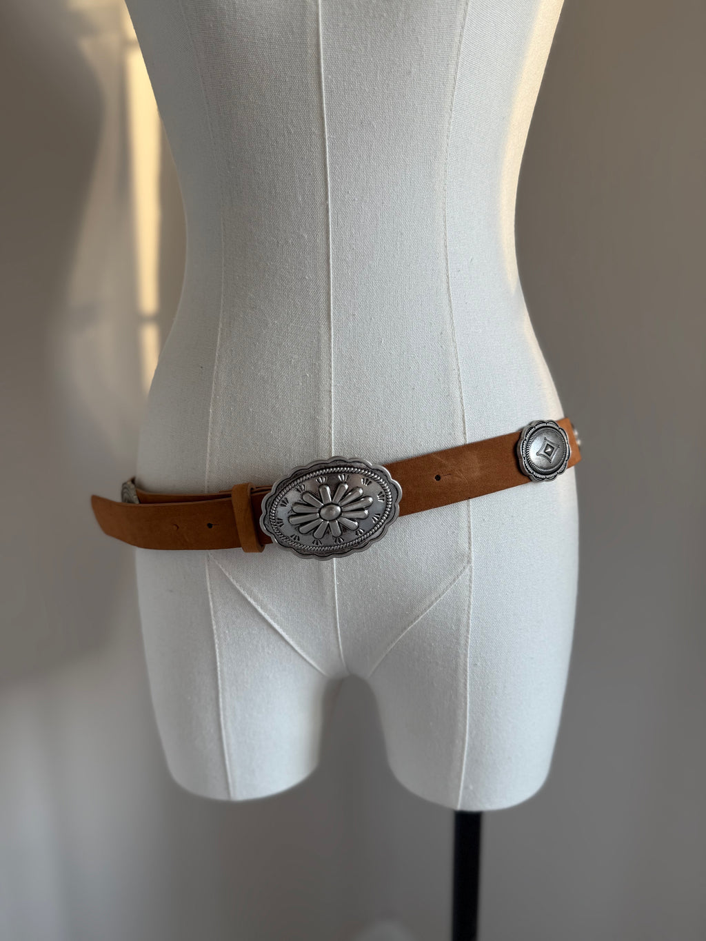 Western Silver Brown