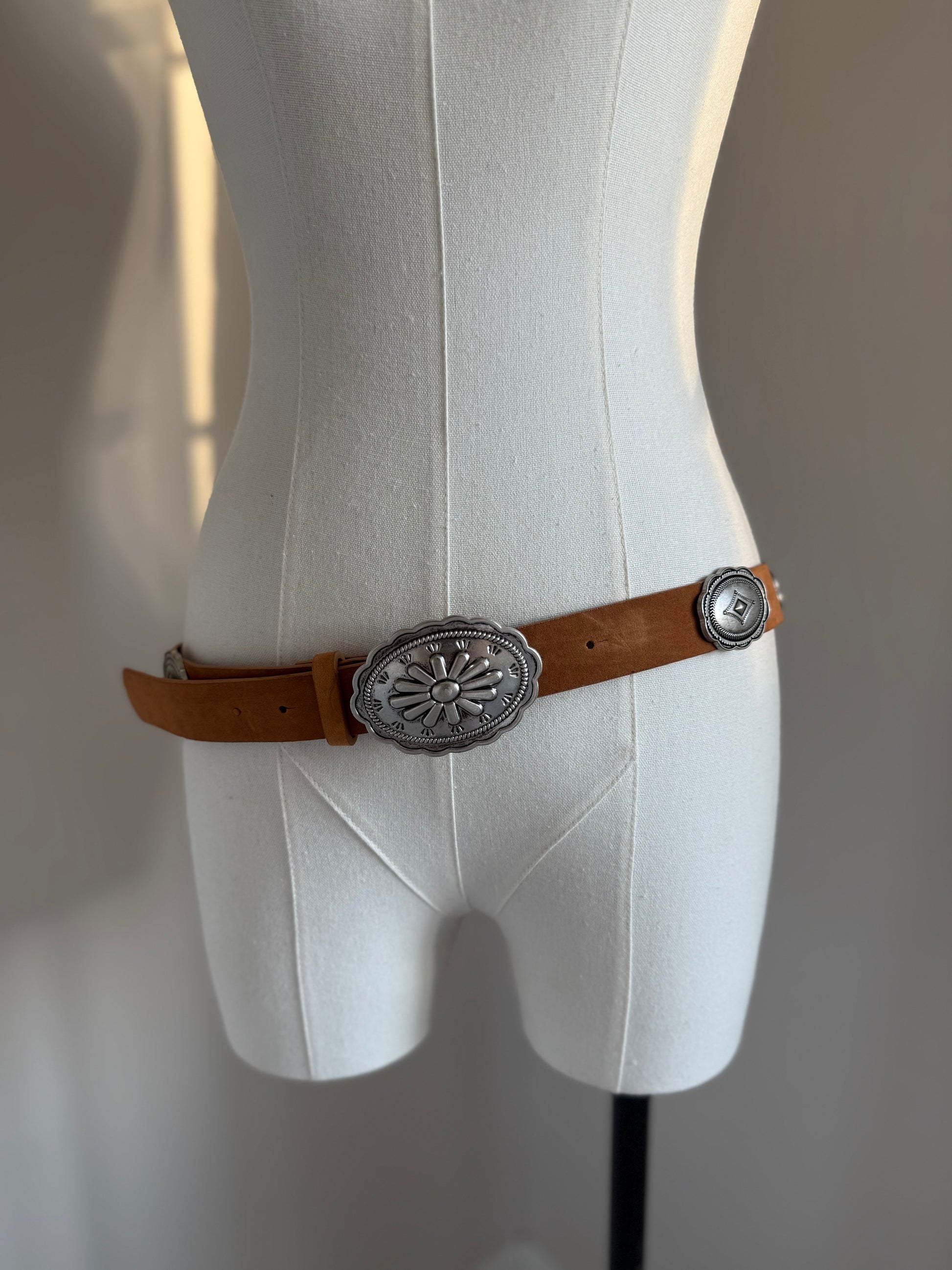 Western Silver Brown