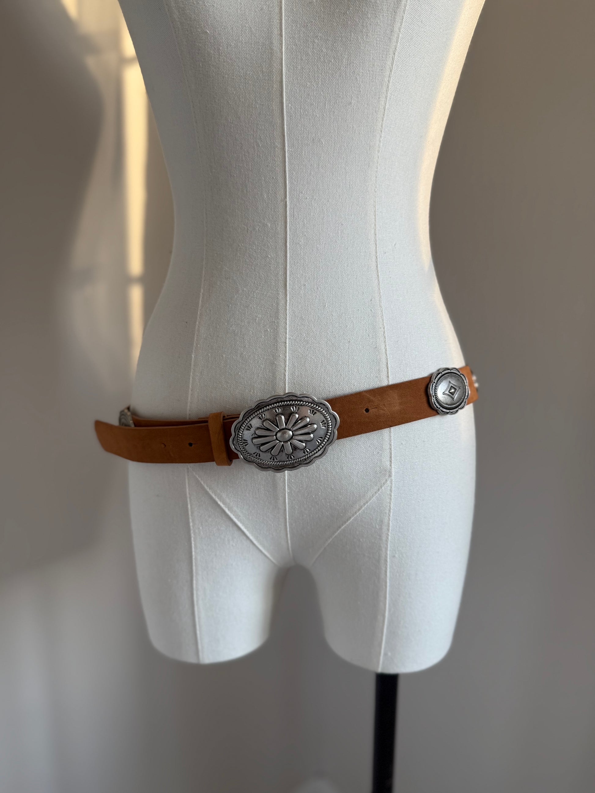 Western Silver Brown