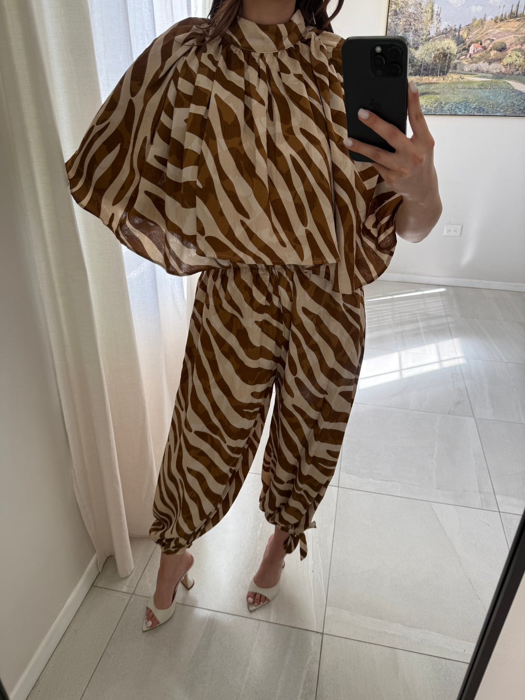 Brown Zebra Set